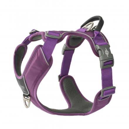 Dog Copenhagen Comfort Walk Pro Harness Purple Passion 2024