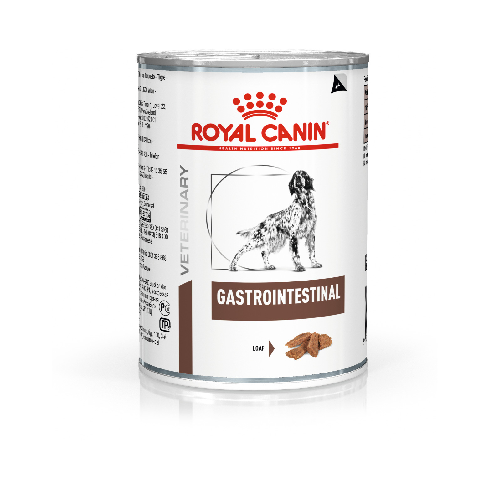 Royal Canin Gastro Intestinal Loaf Can märkäruoka koirille - 12x400 g